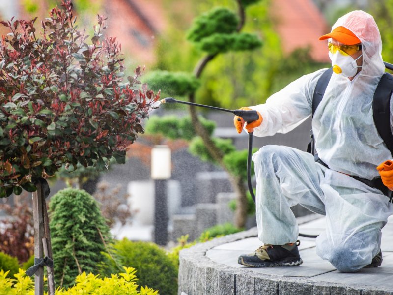 Bolvadin Haşere İlaçlama